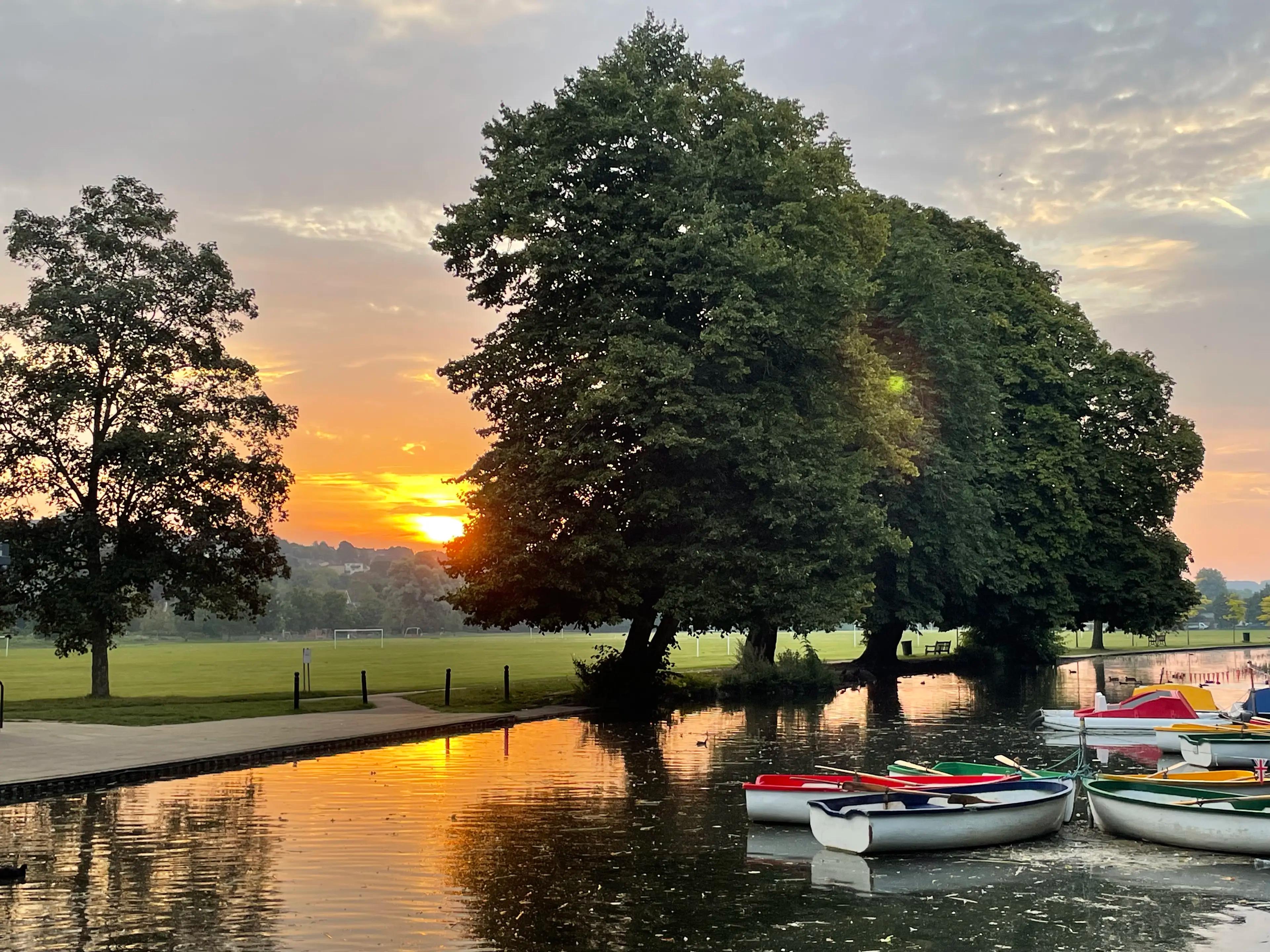 Rye Park at sunset, with trees and boats reflected in the water